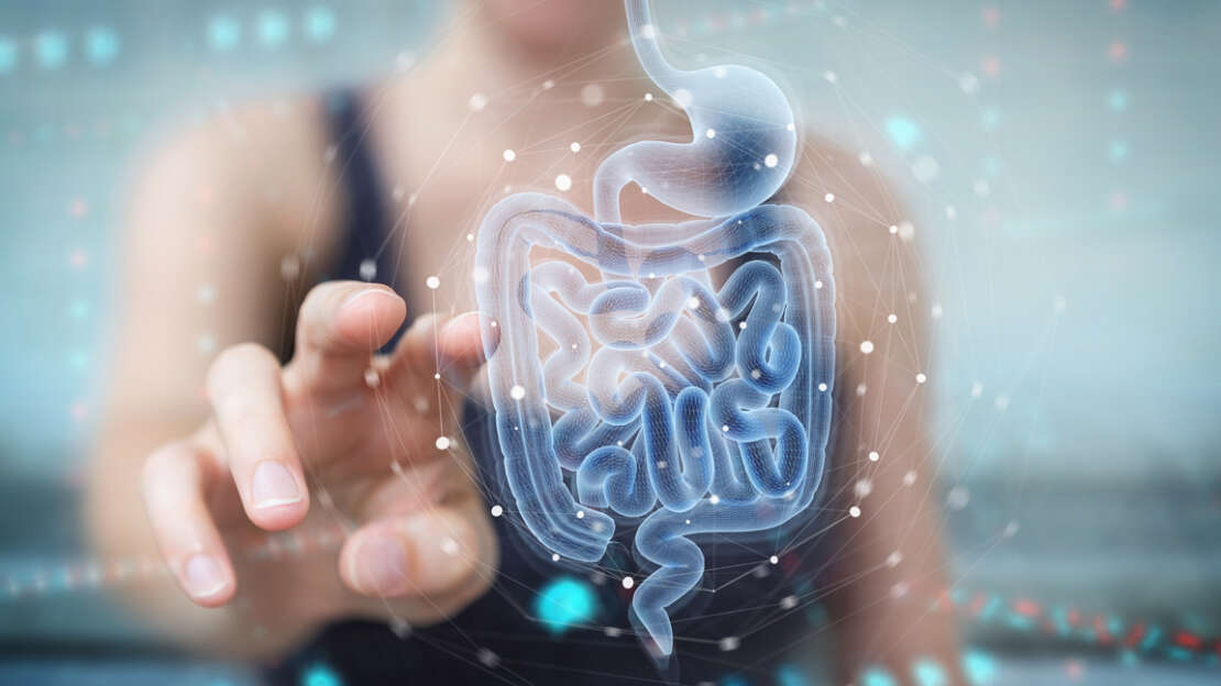 Vitamin B12: Aufnahme in den Körper | Vitamin-B12-Ratgeber.com